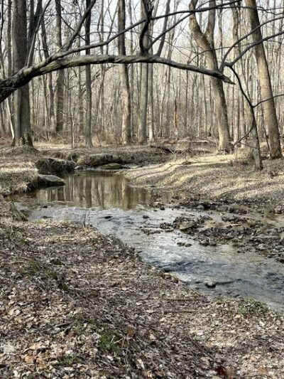 Magruder Branch Stream Valley Park - Gaithersburg, MD