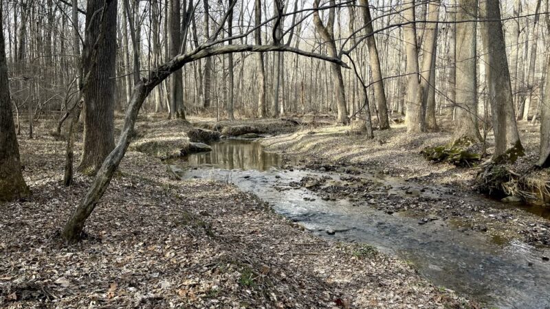 Magruder Branch Stream Valley Park - Gaithersburg, MD