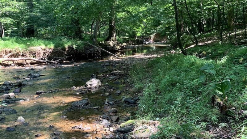 Magruder Trail - Gaithersburg, MD