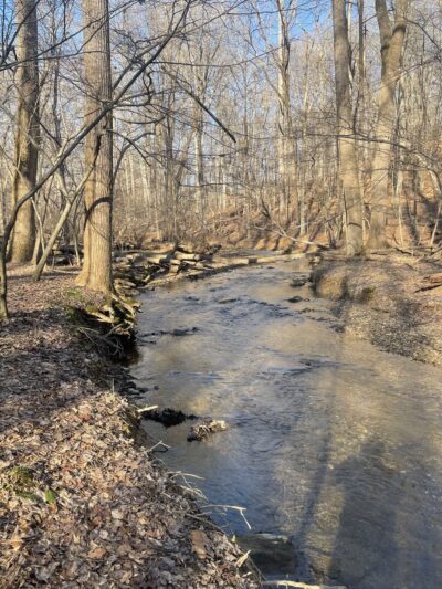 Magruder Trail - Gaithersburg, MD