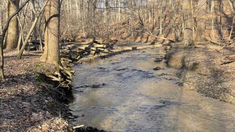 Magruder Trail - Gaithersburg, MD