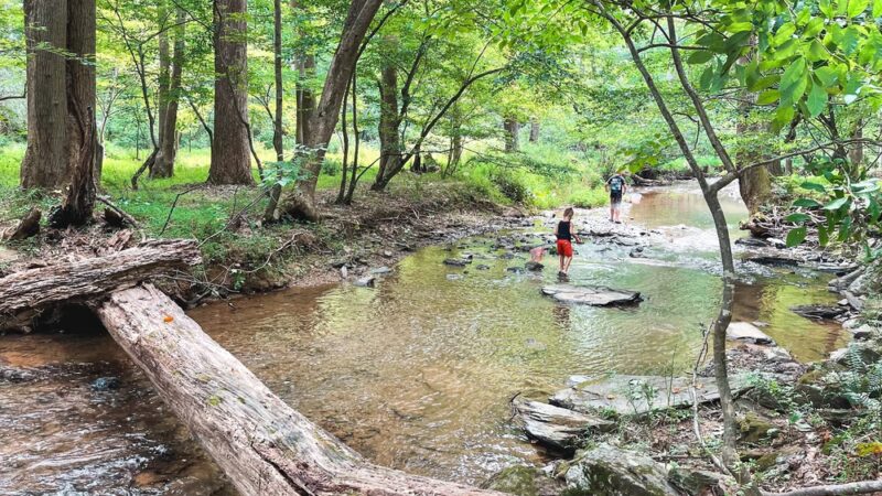 Magruder Trail - Gaithersburg, MD