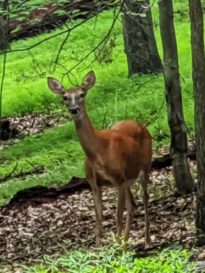 Magruder Trail - Gaithersburg, MD