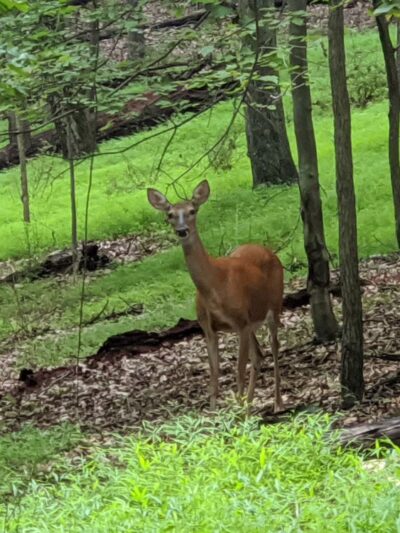 Magruder Trail - Gaithersburg, MD