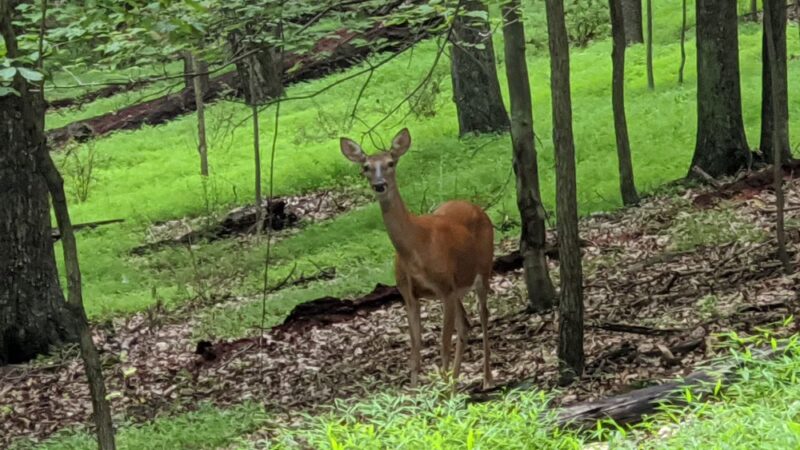 Magruder Trail - Gaithersburg, MD
