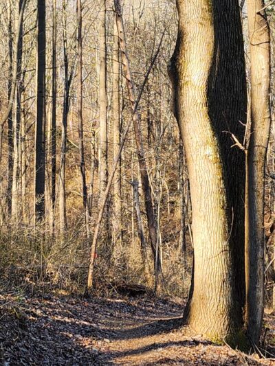 Route 94 Parking, Patuxent River State Park - Gaithersburg, MD