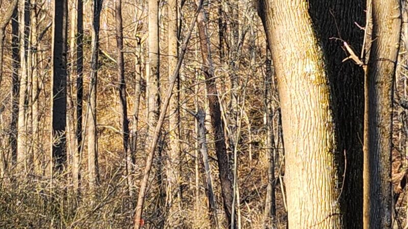Route 94 Parking, Patuxent River State Park - Gaithersburg, MD