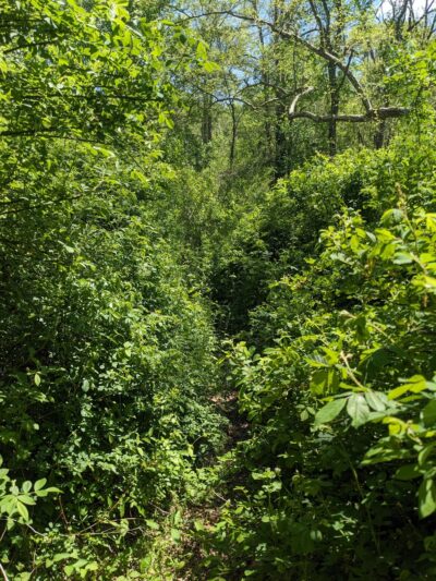 Route 94 Parking, Patuxent River State Park - Gaithersburg, MD