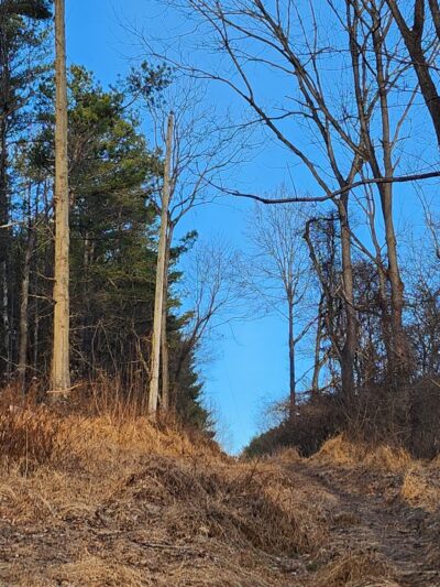 Route 94 Parking, Patuxent River State Park - Gaithersburg, MD