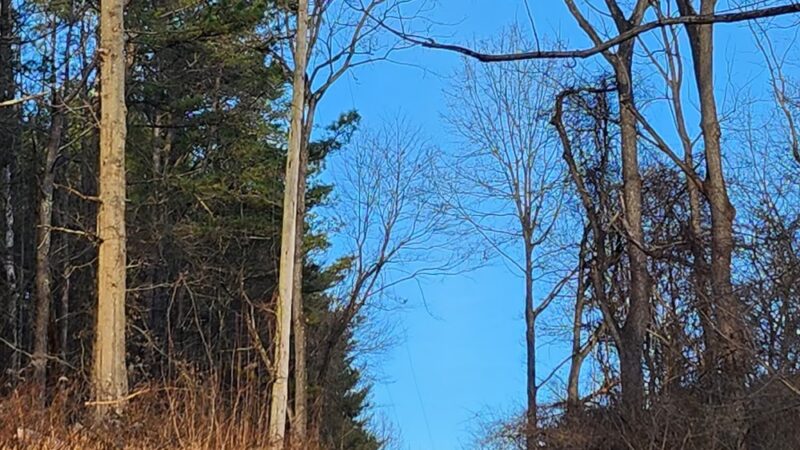Route 94 Parking, Patuxent River State Park - Gaithersburg, MD