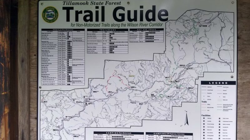 Rogers Camp Trailhead - Gales Creek, OR