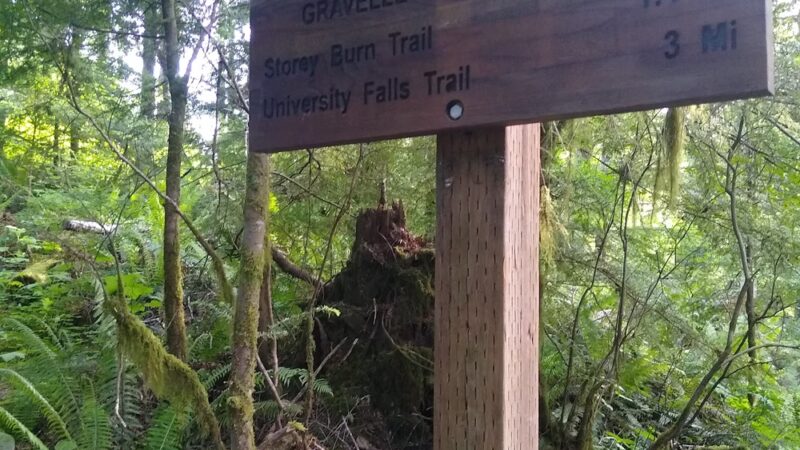 Rogers Camp Trailhead - Gales Creek, OR