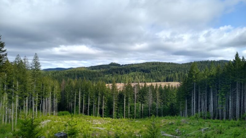 Rogers Camp Trailhead - Gales Creek, OR