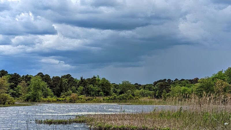 Edwin B. Forsythe National Wildlife Refuge - Galloway, NJ