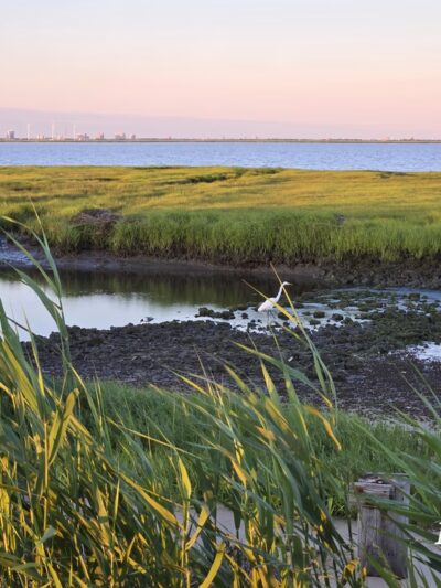 Edwin B. Forsythe National Wildlife Refuge - Galloway, NJ