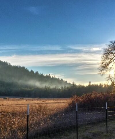 Southern Humboldt Community Park - Garberville, CA