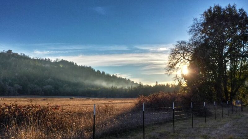 Southern Humboldt Community Park - Garberville, CA