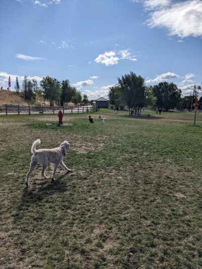 Eagle Large Dog Park - Garden City, ID