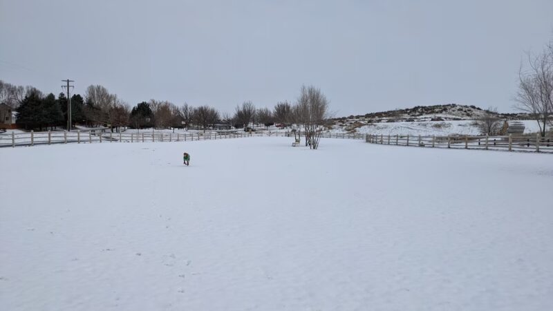 Eagle Large Dog Park - Garden City, ID