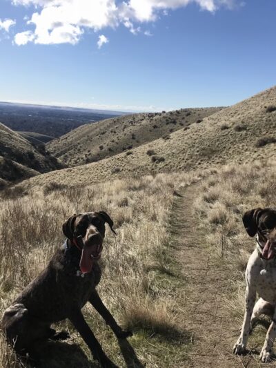 Polecat Trailhead and Parking - Garden City, ID