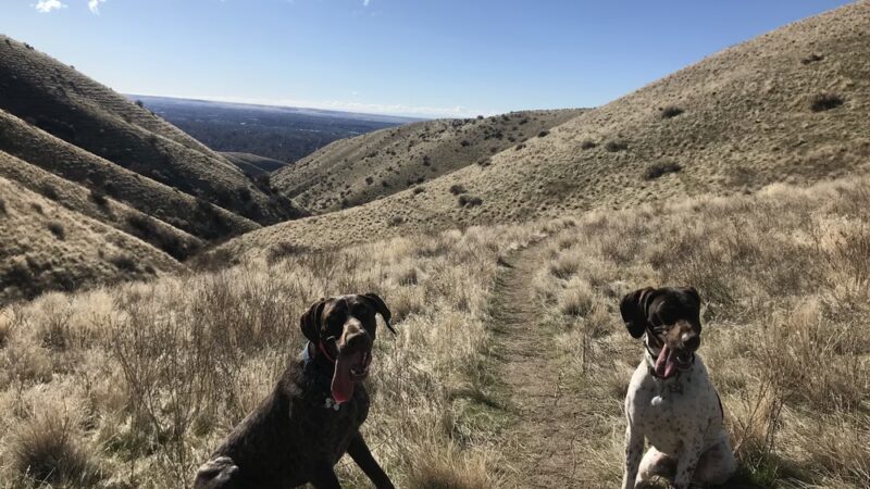 Polecat Trailhead and Parking - Garden City, ID