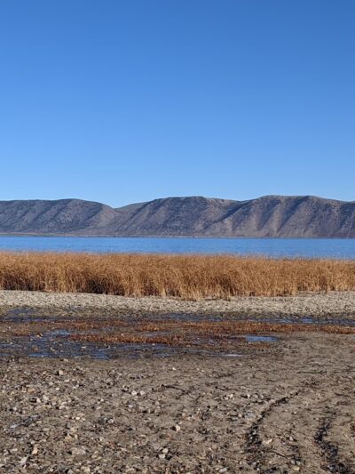 Garden City Park - Garden City, UT