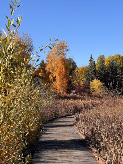 Garden City Park - Garden City, UT