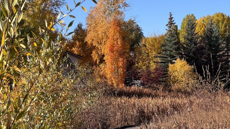 Garden City Park - Garden City, UT
