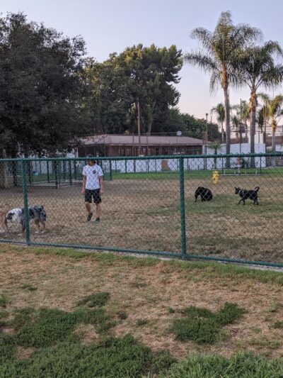 Garden Grove Park - Garden Grove, CA