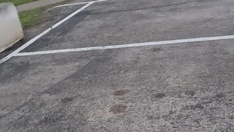 Paul Davis Park - Garden Ridge, TX