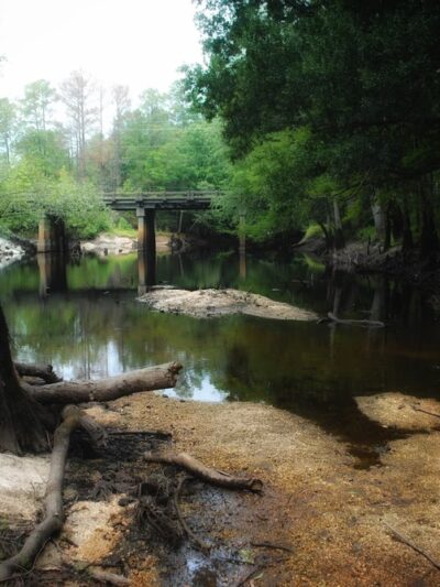 South River Bridge Wildlife Ramp - Garland, NC