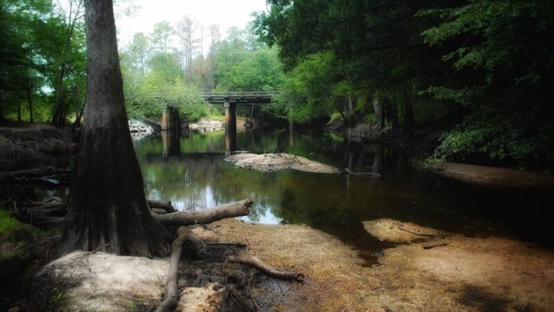 South River Bridge Wildlife Ramp - Garland, NC
