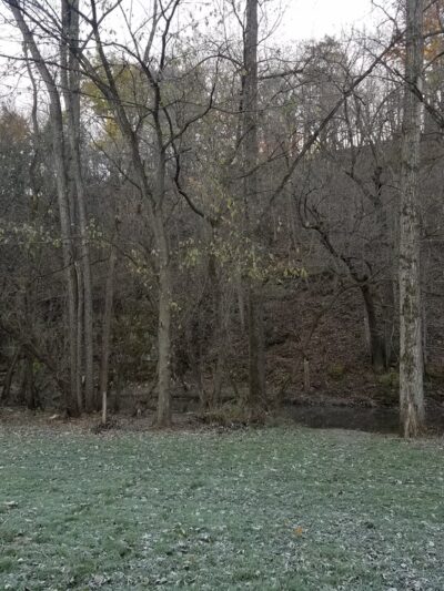 Buck Creek County Park - Garnavillo, IA