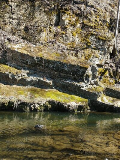 Buck Creek County Park - Garnavillo, IA