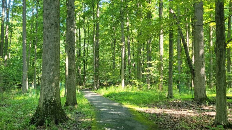 Jack King Park - Garnet Valley, PA
