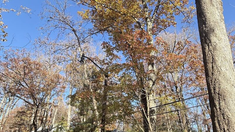 Wells Neighborhood Park - Garrett Park, MD
