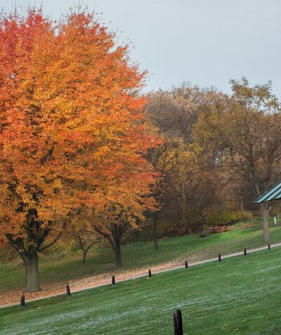 Garvin County Park - Garvin, MN