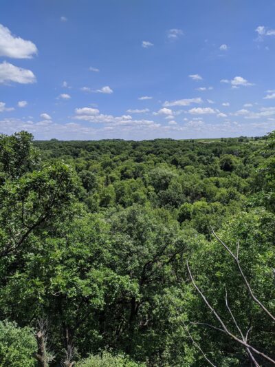 Garvin County Park - Garvin, MN