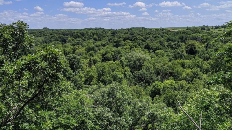 Garvin County Park - Garvin, MN