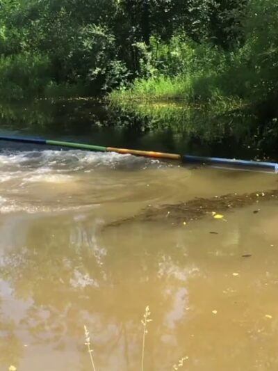 Fort Hyde Kennels Inc. - Gasport, NY