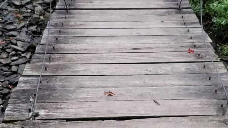 Royalton Ravine Park - Gasport, NY