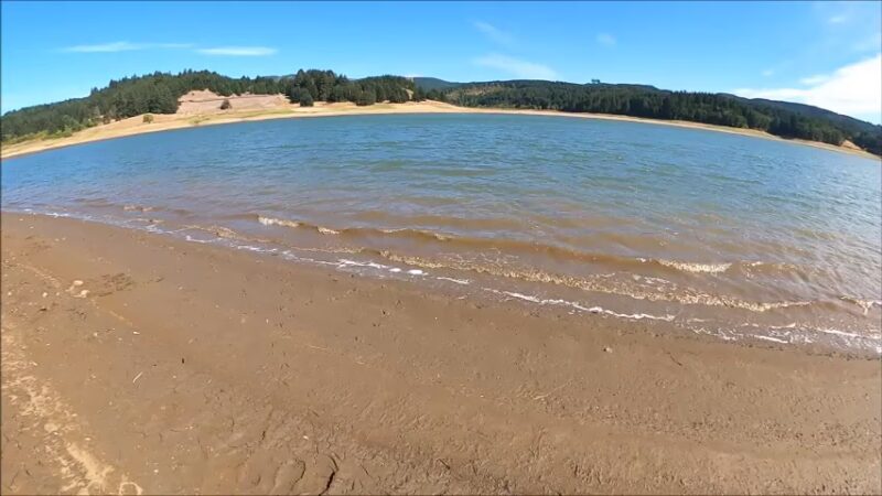Bobcat Cove Trail Head - Gaston, OR