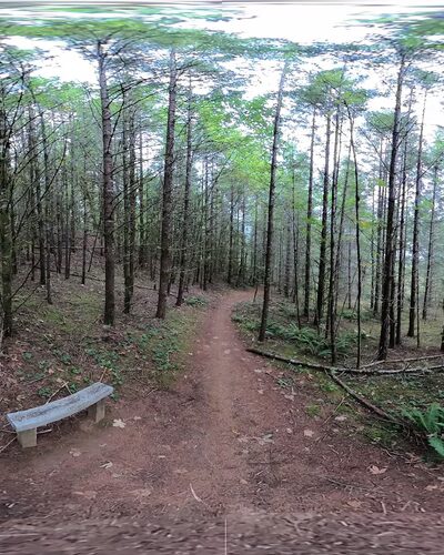 Bobcat Cove Trail Head - Gaston, OR