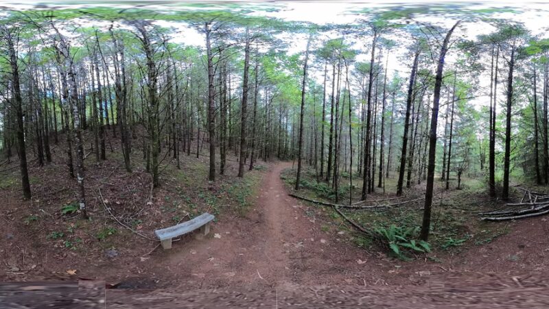 Bobcat Cove Trail Head - Gaston, OR