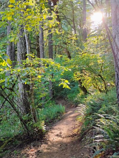 Henry Hagg Loop Trail - Gaston, OR