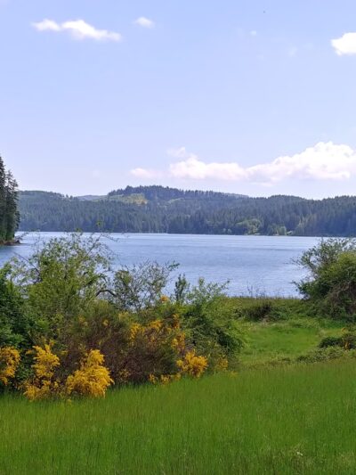 Henry Hagg Loop Trail - Gaston, OR