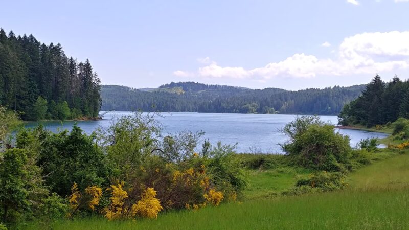 Henry Hagg Loop Trail - Gaston, OR