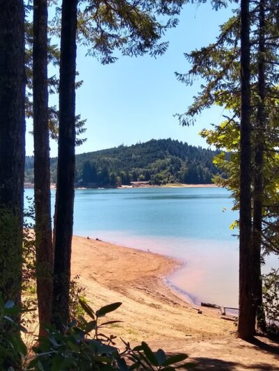 Henry Hagg Loop Trail - Gaston, OR