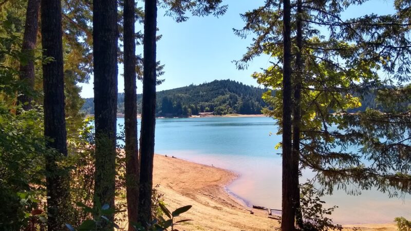 Henry Hagg Loop Trail - Gaston, OR