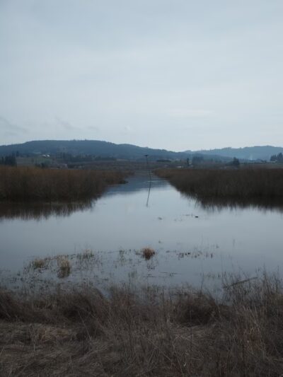 Wapato Lake National Wildlife Refuge - Gaston, OR